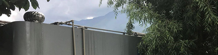 香妃直播下载